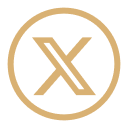 X (Twitter)